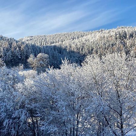 Ferienwohnung Stremme Willingen  Esterno foto