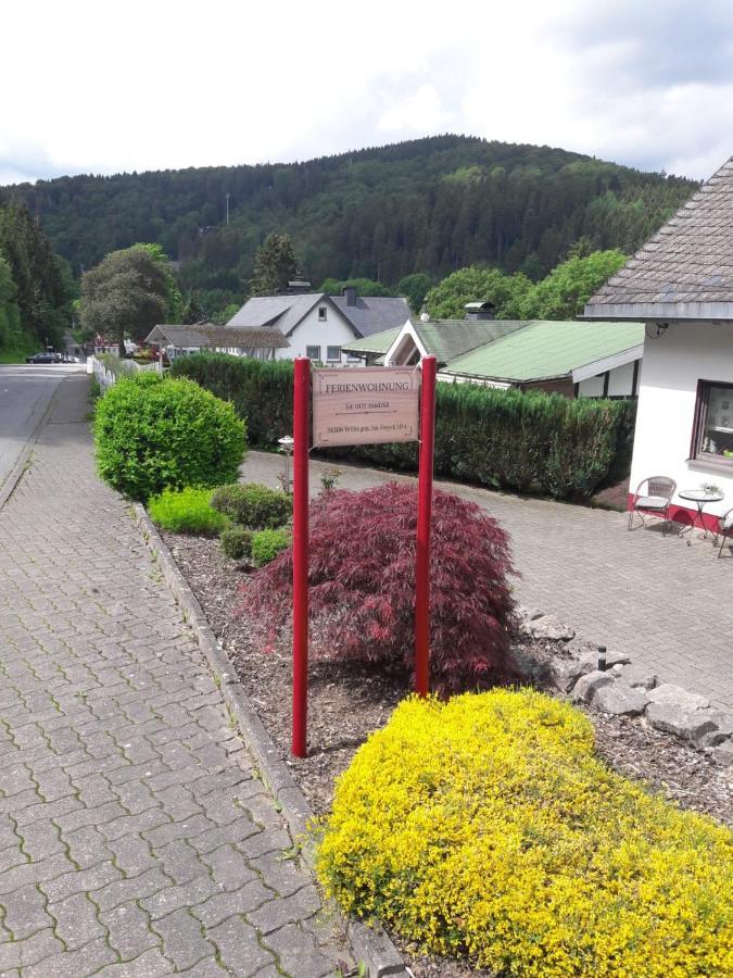 Ferienwohnung Stremme Willingen  Esterno foto