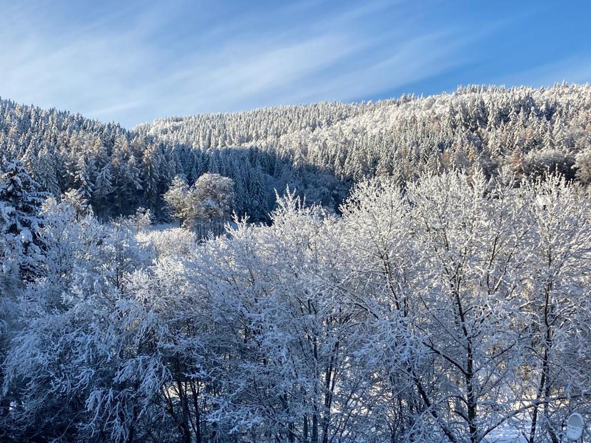 Ferienwohnung Stremme Willingen  Esterno foto